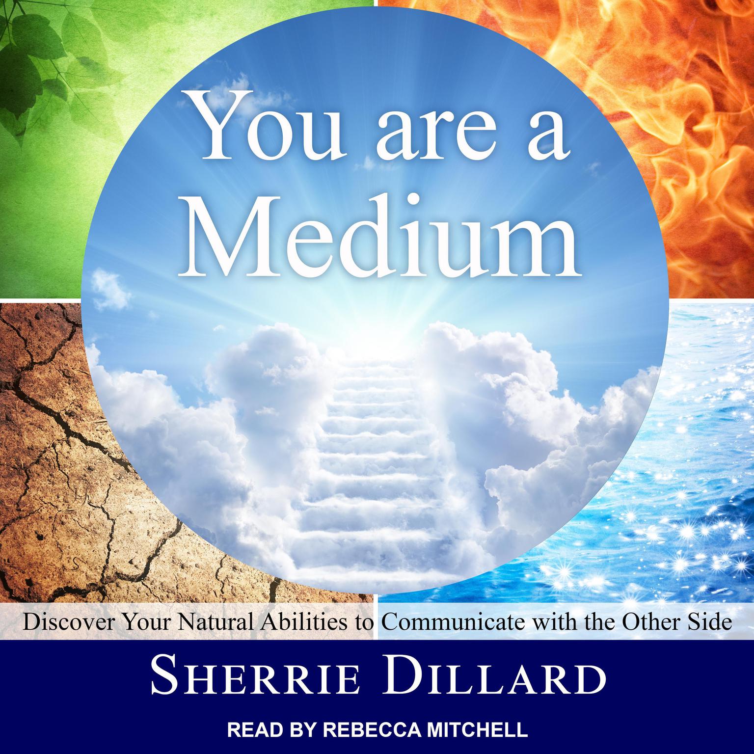 You Are a Medium: Discover Your Natural Abilities to Communicate with the Other Side Audiobook, by Sherrie Dillard