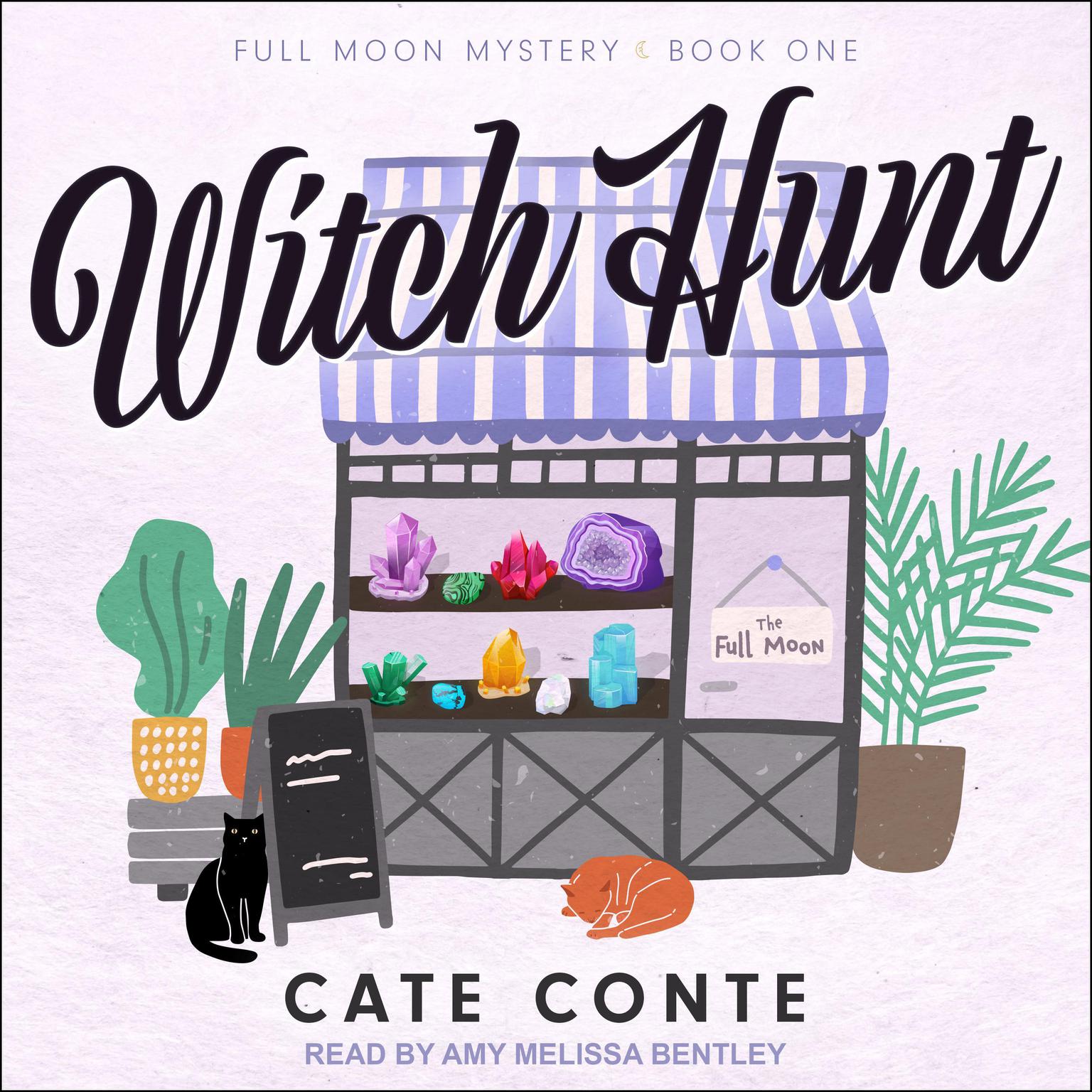 Witch Hunt Audiobook, by Cate Conte