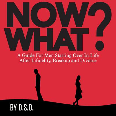 NOW WHAT? A Guide for Men Starting Over in Life After Infidelity, Breakup and Divorce Audiobook, by D.S.O.