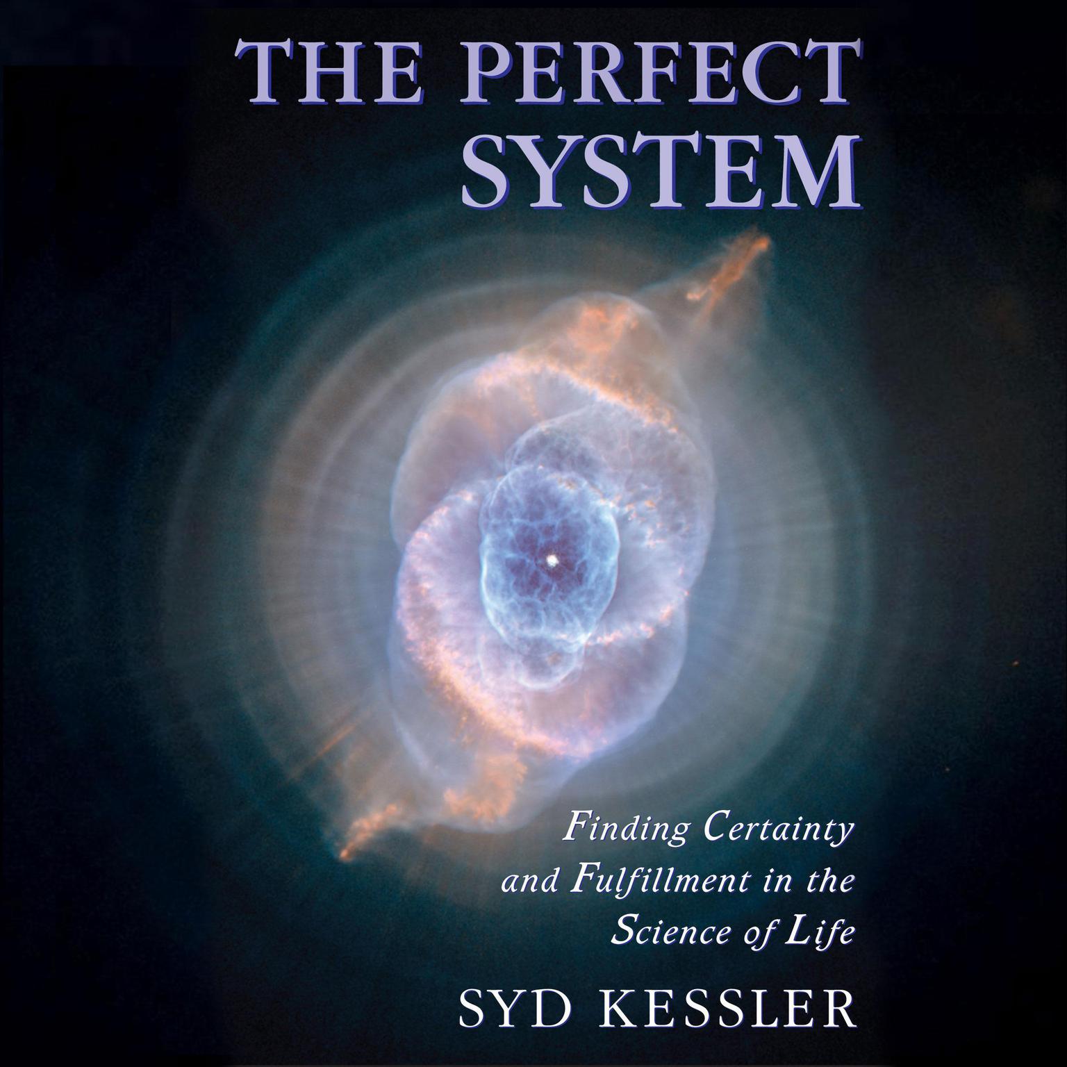 The Perfect System Audiobook, by Syd Kessler