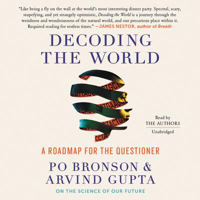 Decoding the World: A Roadmap for the Questioner Audiobook, by Po Bronson