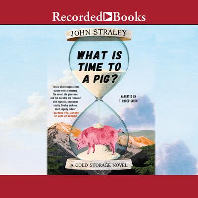 What Is Time to a Pig? Audiobook, by John Straley