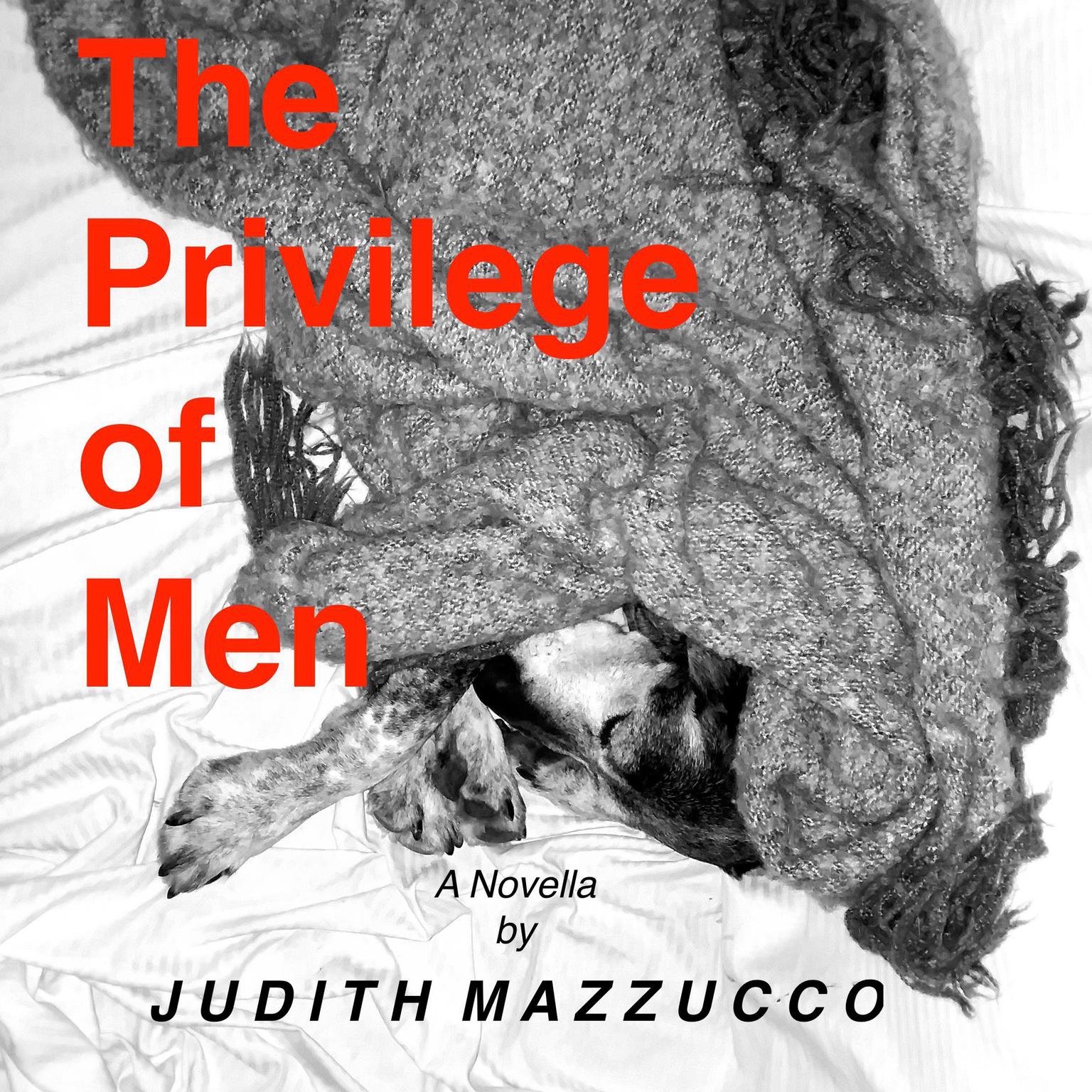 The Privilege of Men Audiobook, by Judith Mazzucco