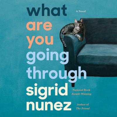 What Are You Going Through: A Novel Audiobook, by 