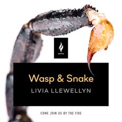 Wasp & Snake: A Short Horror Story Audiobook, by Livia Llewellyn