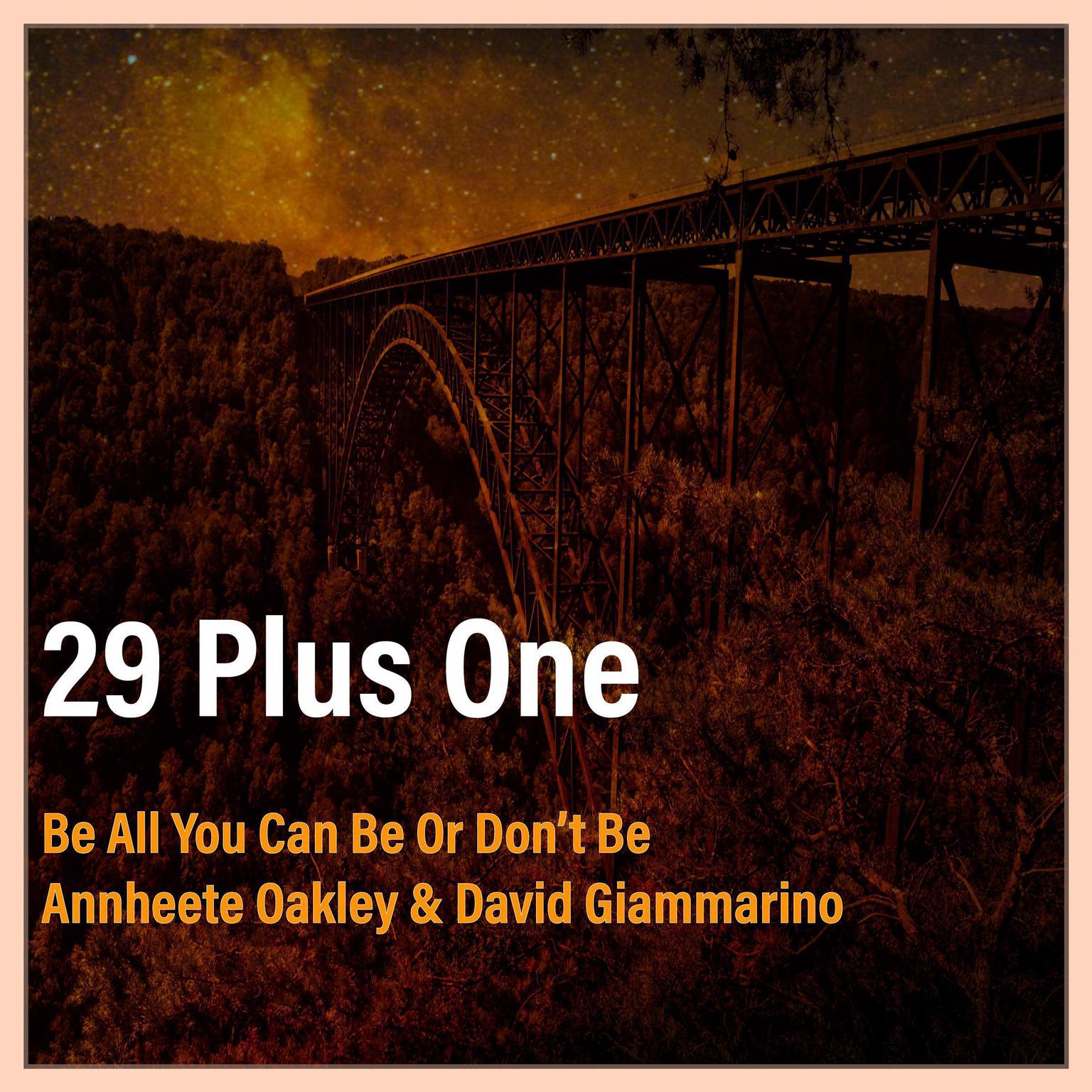 29 Plus One: Finn’s Story Audiobook, by David Giammarino