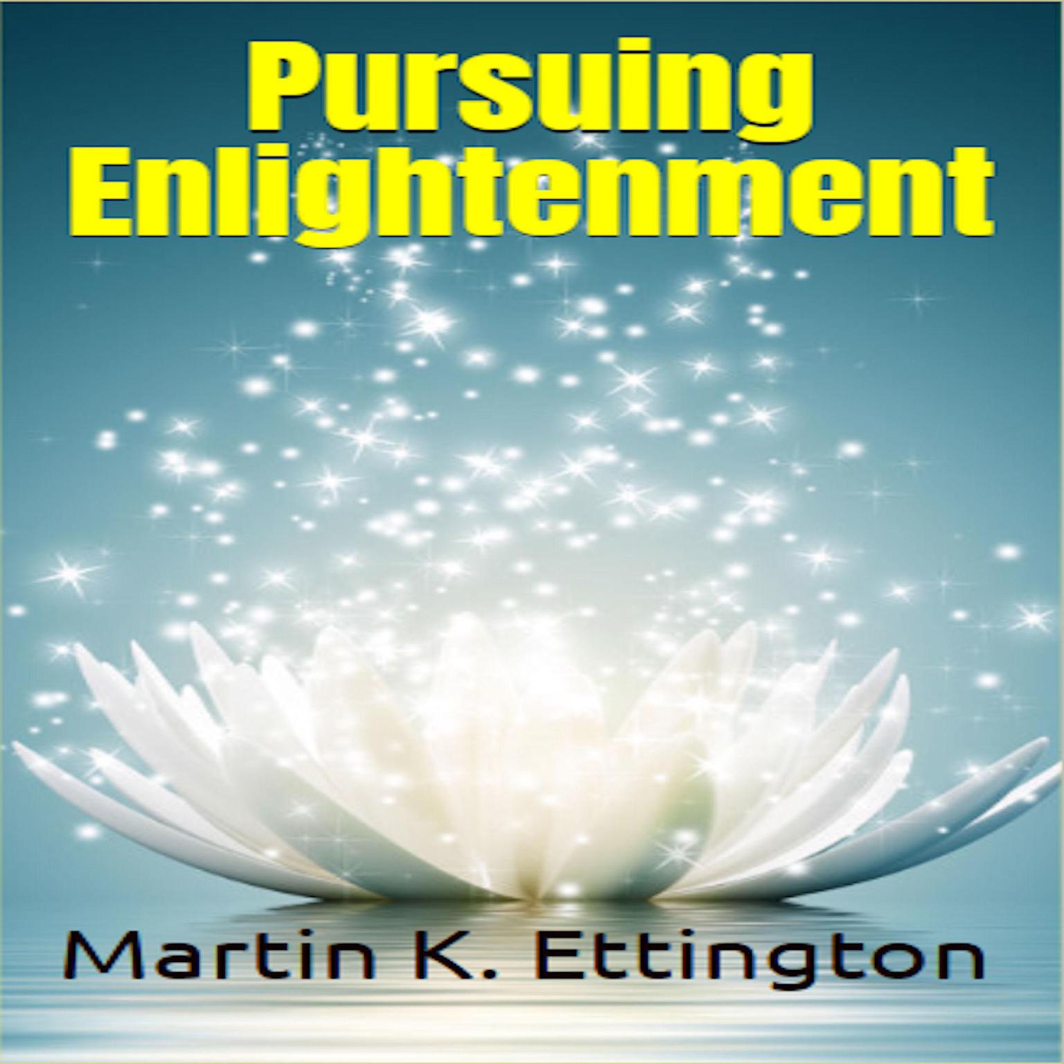 Pursuing Enlightenment Audiobook, by Martin K. Ettington