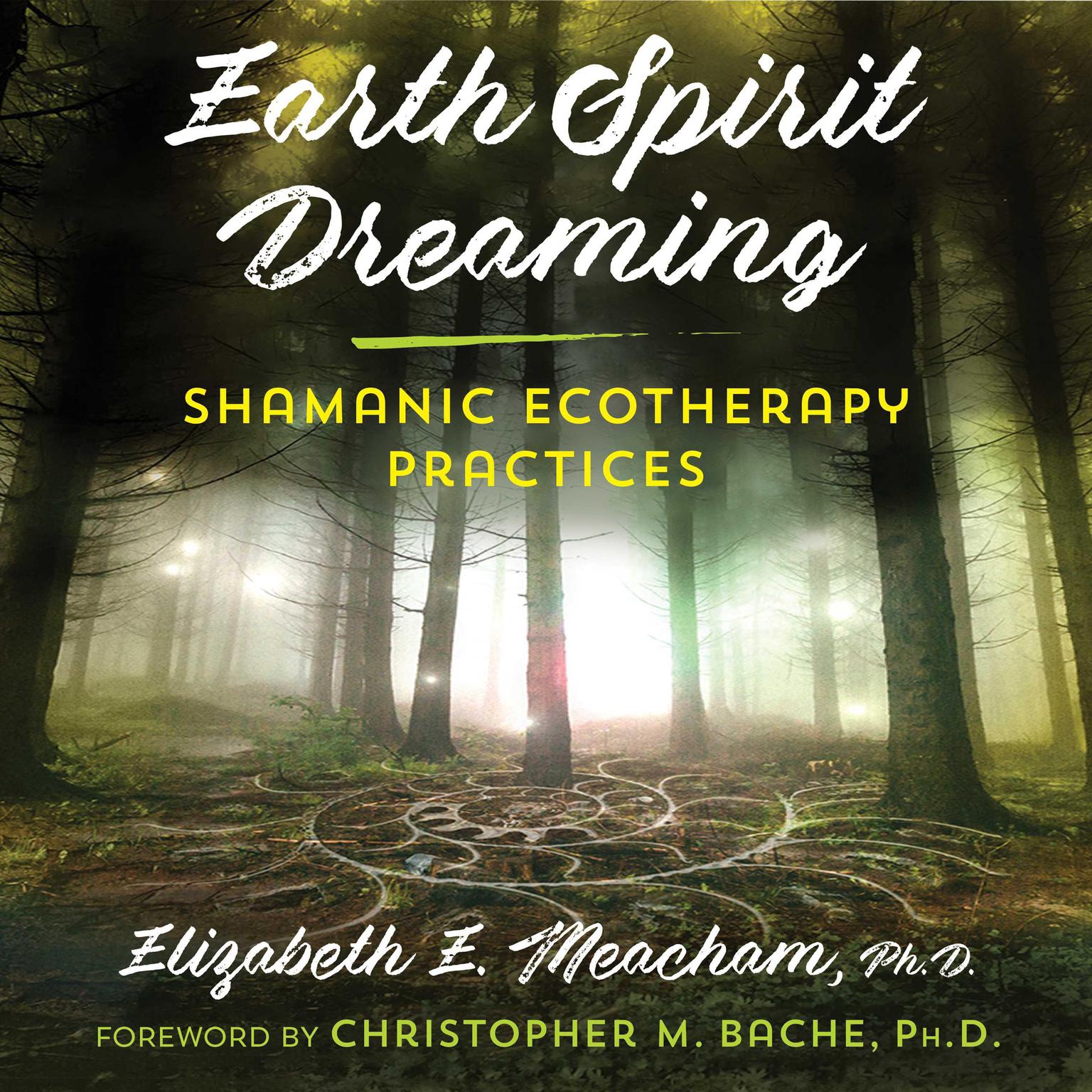 Earth Spirit Dreaming: Shamanic Ecotherapy Practices Audiobook, by Elizabeth E. Meacham