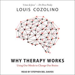 Why Therapy Works: Using Our Minds to Change Our Brains Audiobook, by 