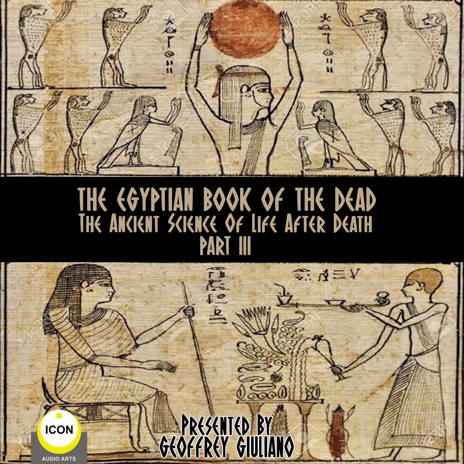 The Egyptian Book Of The Dead - The Ancient Science Of Life After Death - Part 3 (Abridged) Audiobook, by unknown