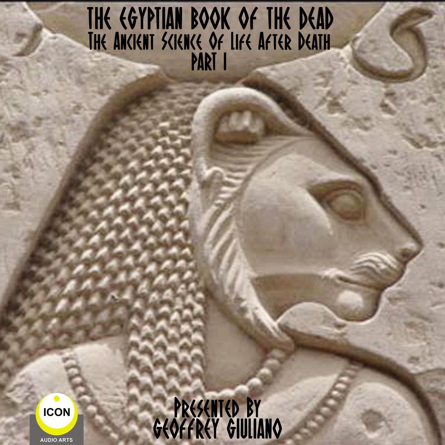 The Egyptian Book Of The Dead - The Ancient Science Of Life After Death - Part 1 (Abridged) Audiobook, by unknown