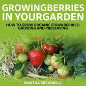 Growing Berries In Your Garden - How To Grow Organic Strawberries: Growing And Preserving