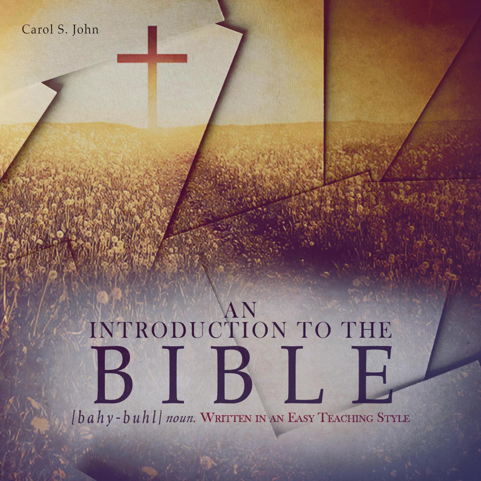 An Introduction to the Bible: Written in an Easy Teaching Style Audiobook, by Carol S. John
