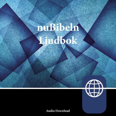 nuBibeln, Audio Download Audiobook, by Zondervan