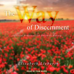 The Way of Discernment: Spiritual Practices for Decision Making Audiobook, by Elizabeth Liebert