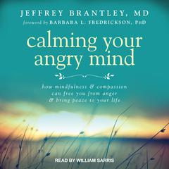 Calming Your Angry Mind: How Mindfulness and Compassion Can Free You from Anger and Bring Peace to Your Life Audiobook, by Jeffrey Brantley