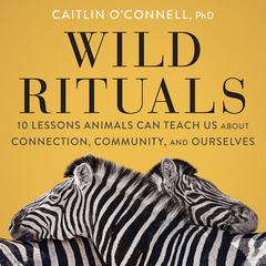 Wild Rituals: 10 Lessons Animals Can Teach Us About Connection, Community, and Ourselves Audiobook, by Caitlin O'Connell