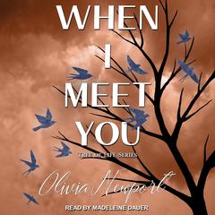 When I Meet You Audiobook, by Olivia Newport