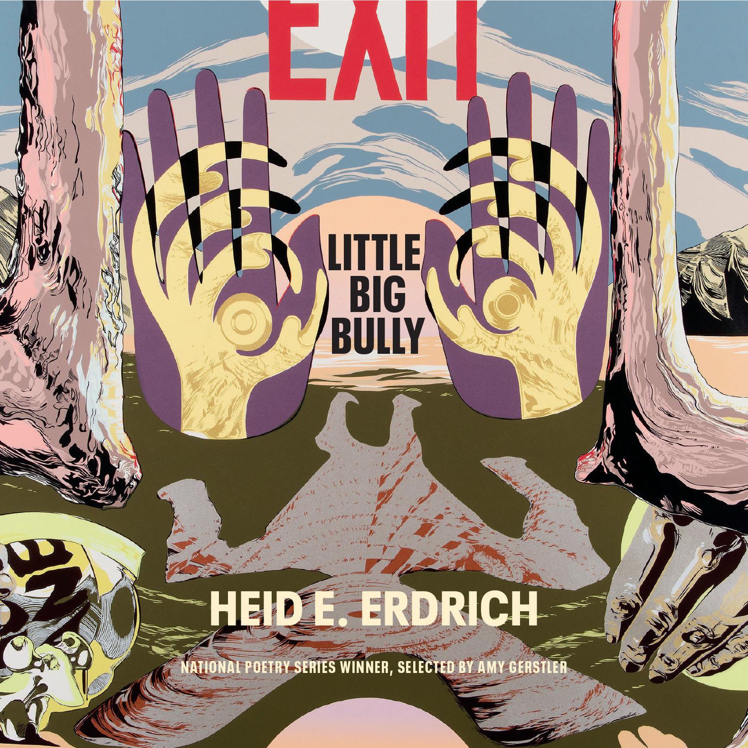 Little Big Bully Audiobook, by Heid E. Erdrich