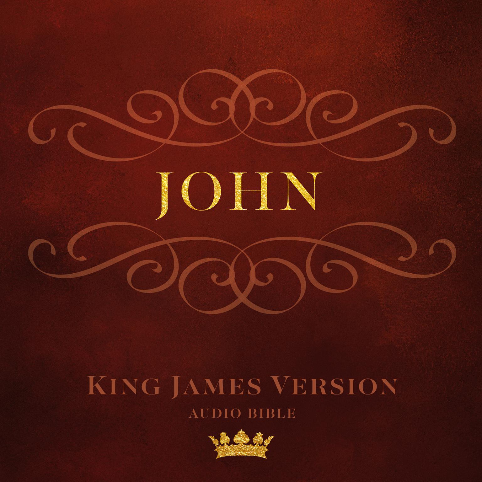 Book of John: King James Version Audio Bible Audiobook, by Made for Success