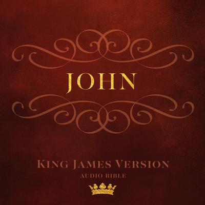 Book of John: King James Version Audio Bible Audiobook, by Made for Success