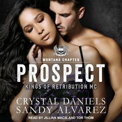 Prospect Audiobook, by Crystal Daniels