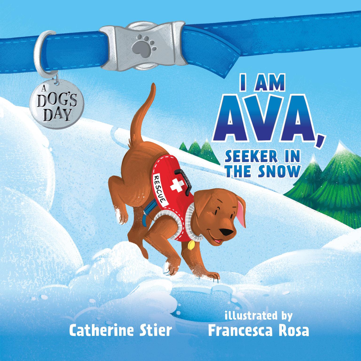 I am Ava, Seeker in the Snow Audiobook, by Catherine Stier