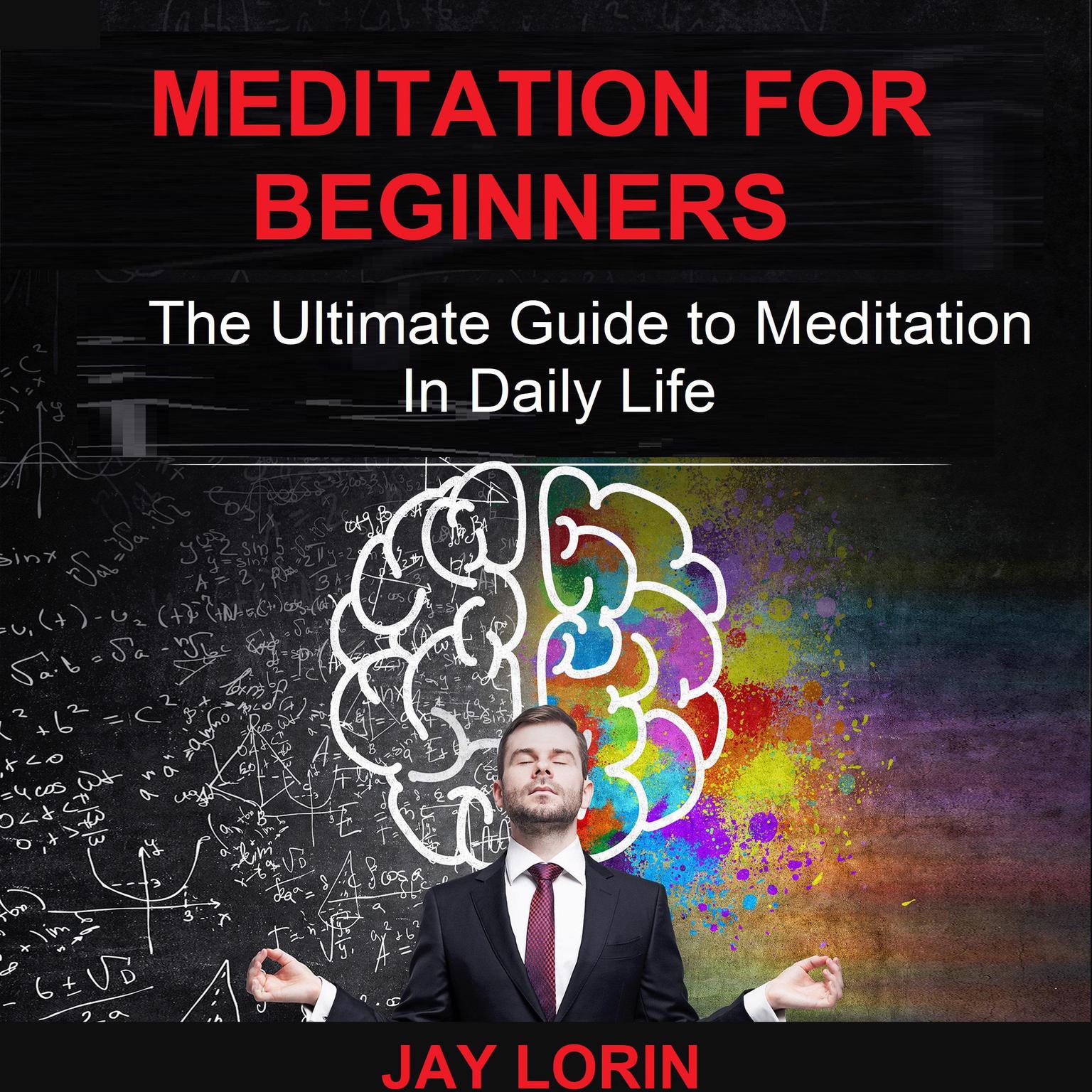 Meditation for Beginners: The Ultimate Guide to Meditation in Daily Life Audiobook, by Jay Lorin