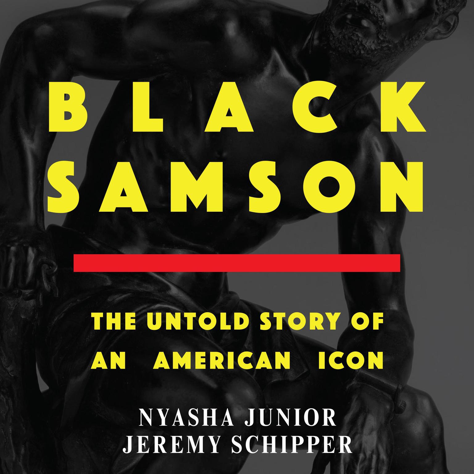 Black Samson: The Untold Story of an American Icon Audiobook, by Jeremy Schipper