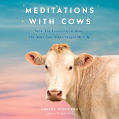 Meditations with Cows: What I've Learned from Daisy, the Dairy Cow Who Changed My Life Audiobook, by Shreve Stockton