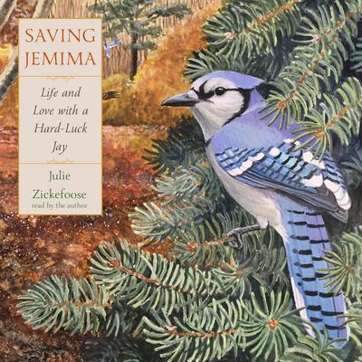 Saving Jemima: Life and Love with a Hard-Luck Jay Audibook, by Julie Zickefoose