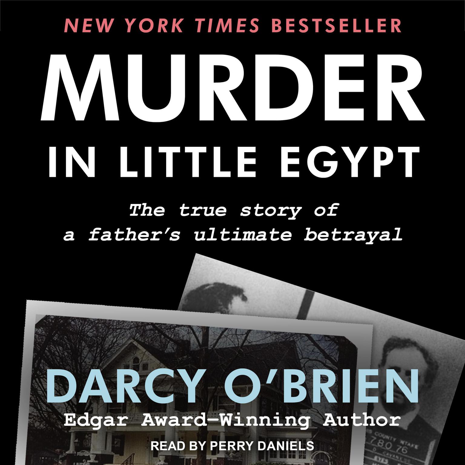 Murder in Little Egypt Audiobook, by Darcy O'Brien