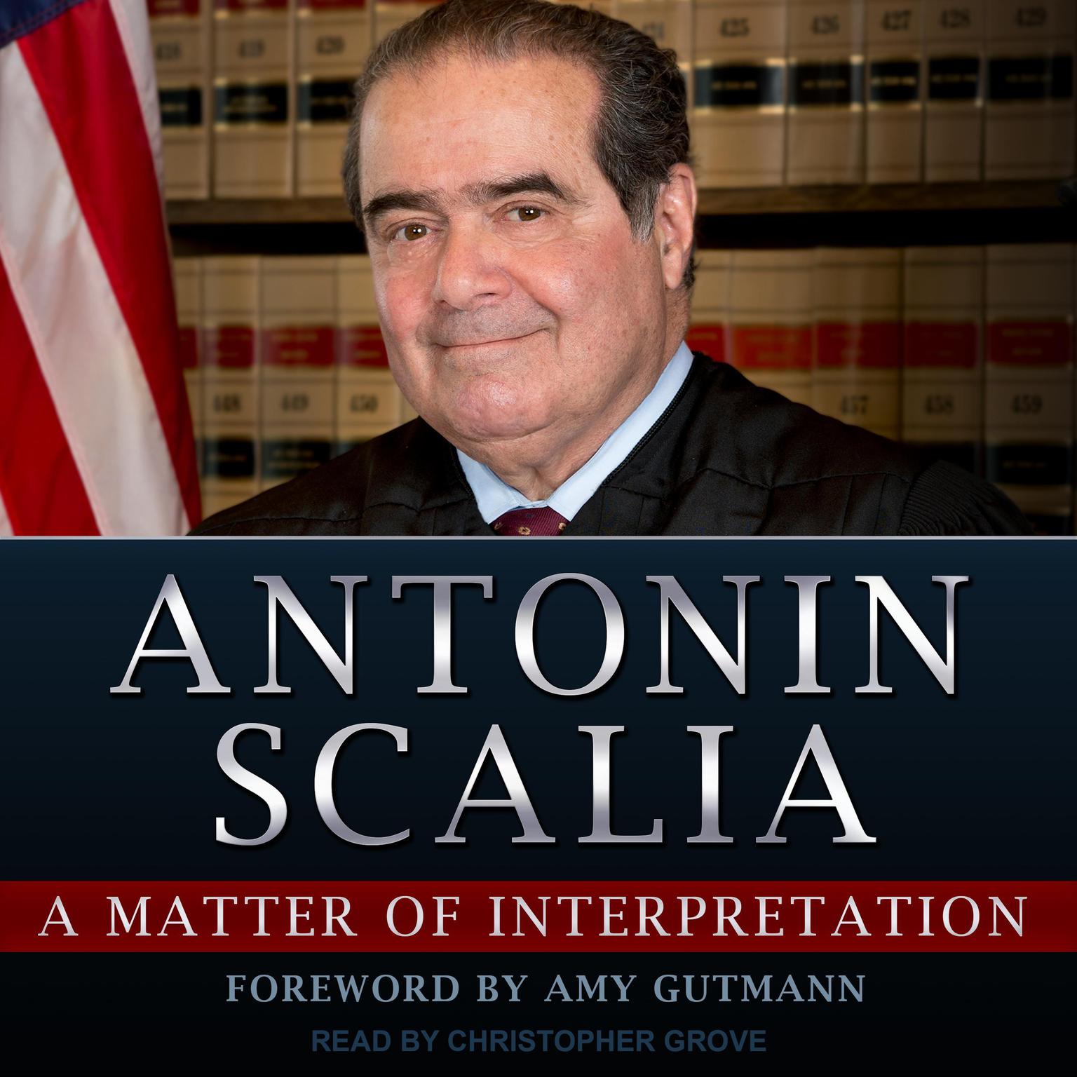 A Matter of Interpretation: Federal Courts and the Law Audiobook, by Antonin Scalia