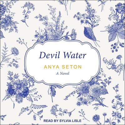 Devil Water Audiobook, by Anya Seton