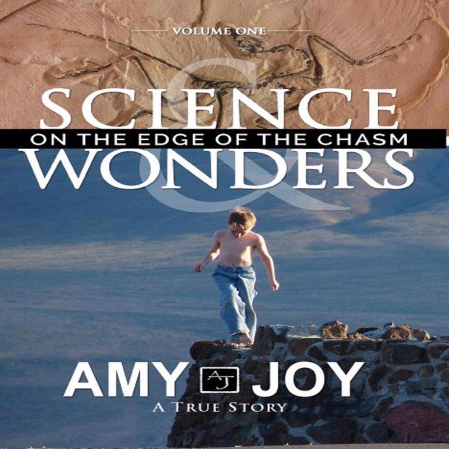 Science & Wonders Vol. 1: On the Edge of the Chasm  Audiobook, by Amy Joy