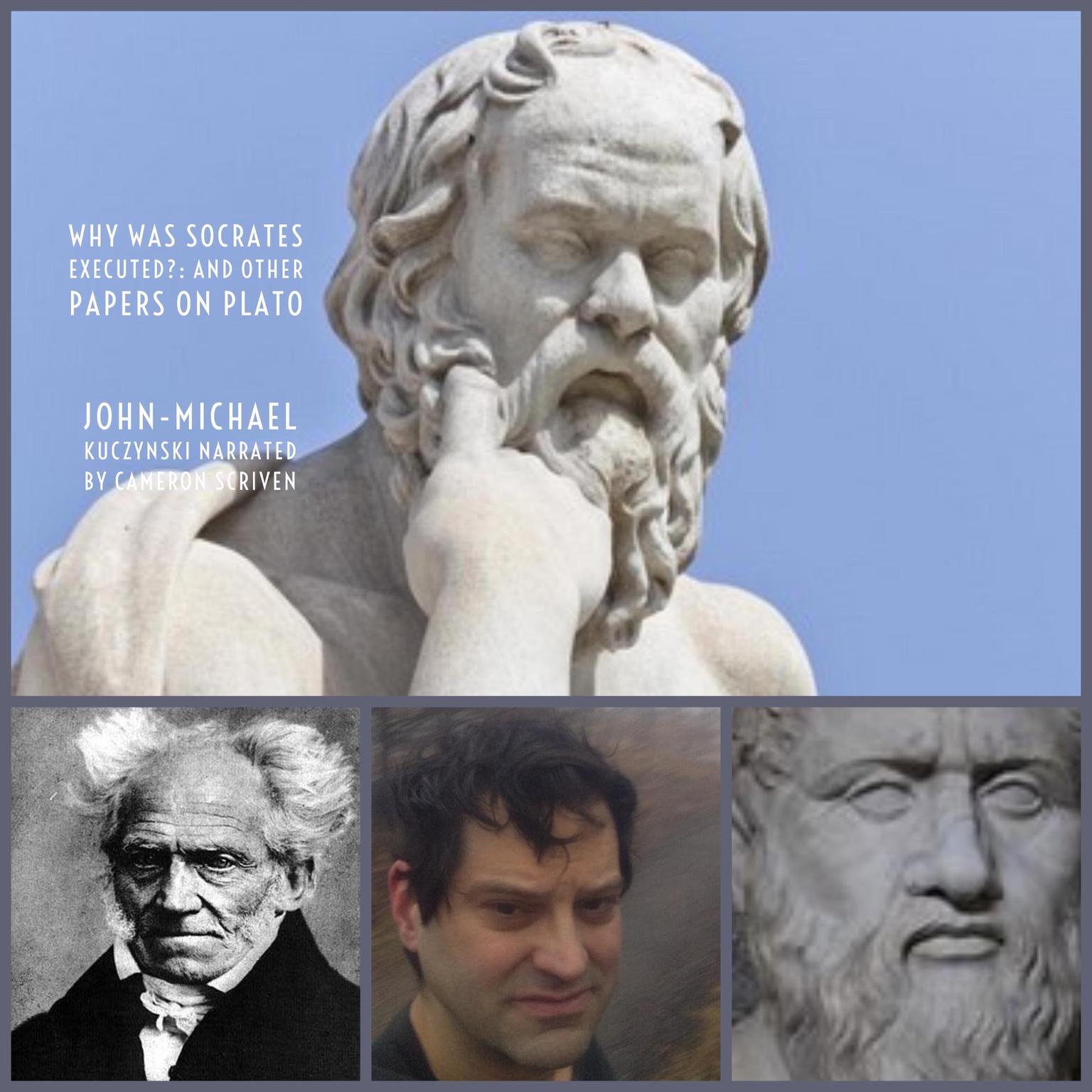 Why Was Socrates Executed?: And Other Papers on Plato Audiobook, by J. M. Kuczynski