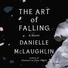 The Art of Falling: A Novel Audiobook, by Danielle McLaughlin