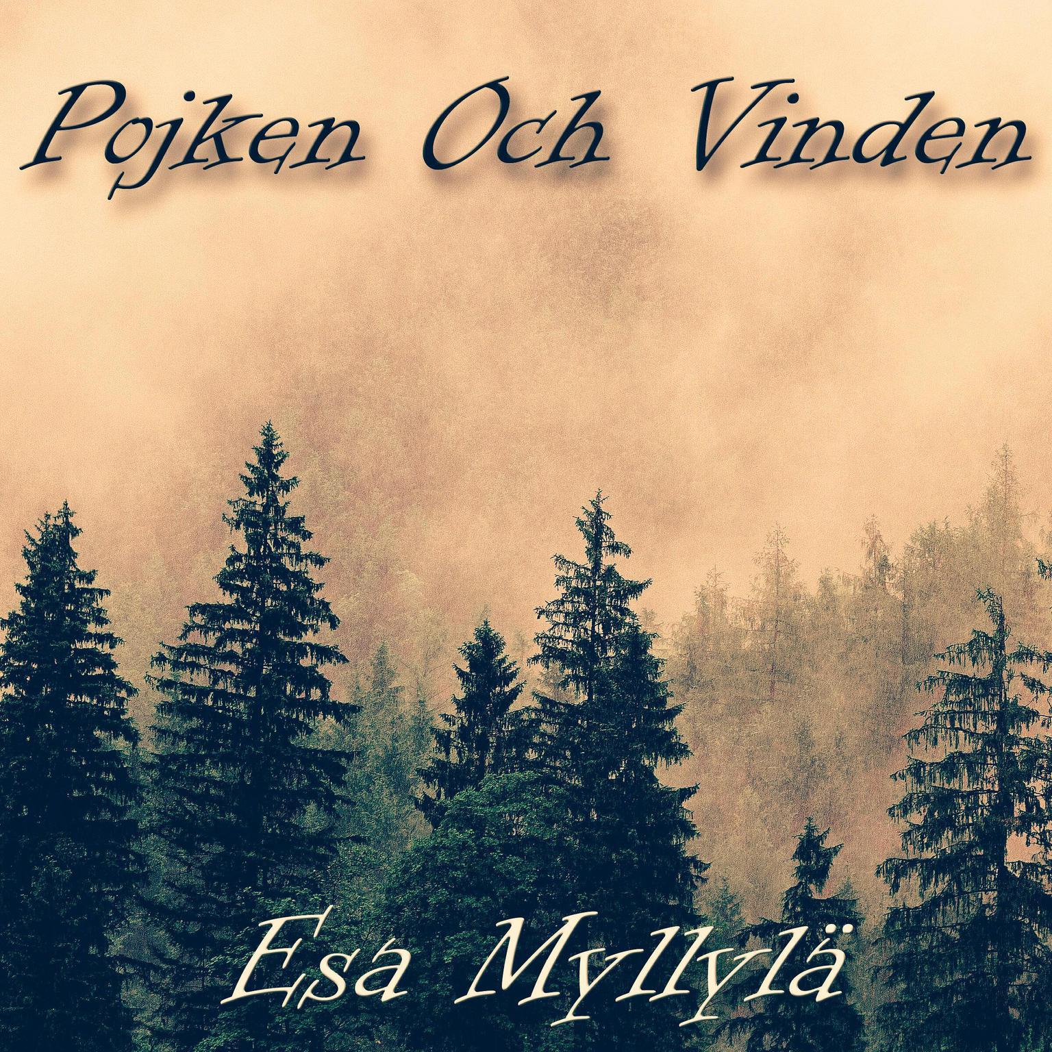 Pojken Och Vinden Audiobook, by Esa Myllylä