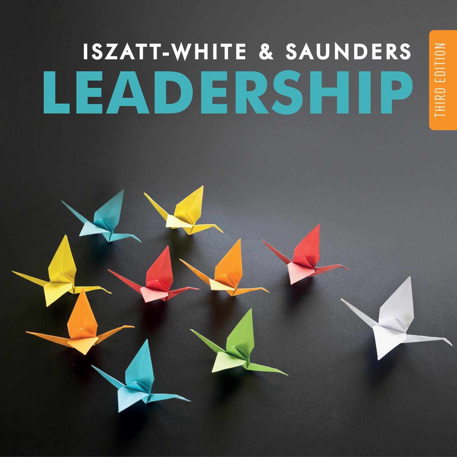 Leadership: 3rd Edition Audiobook, by Marian Iszatt-White