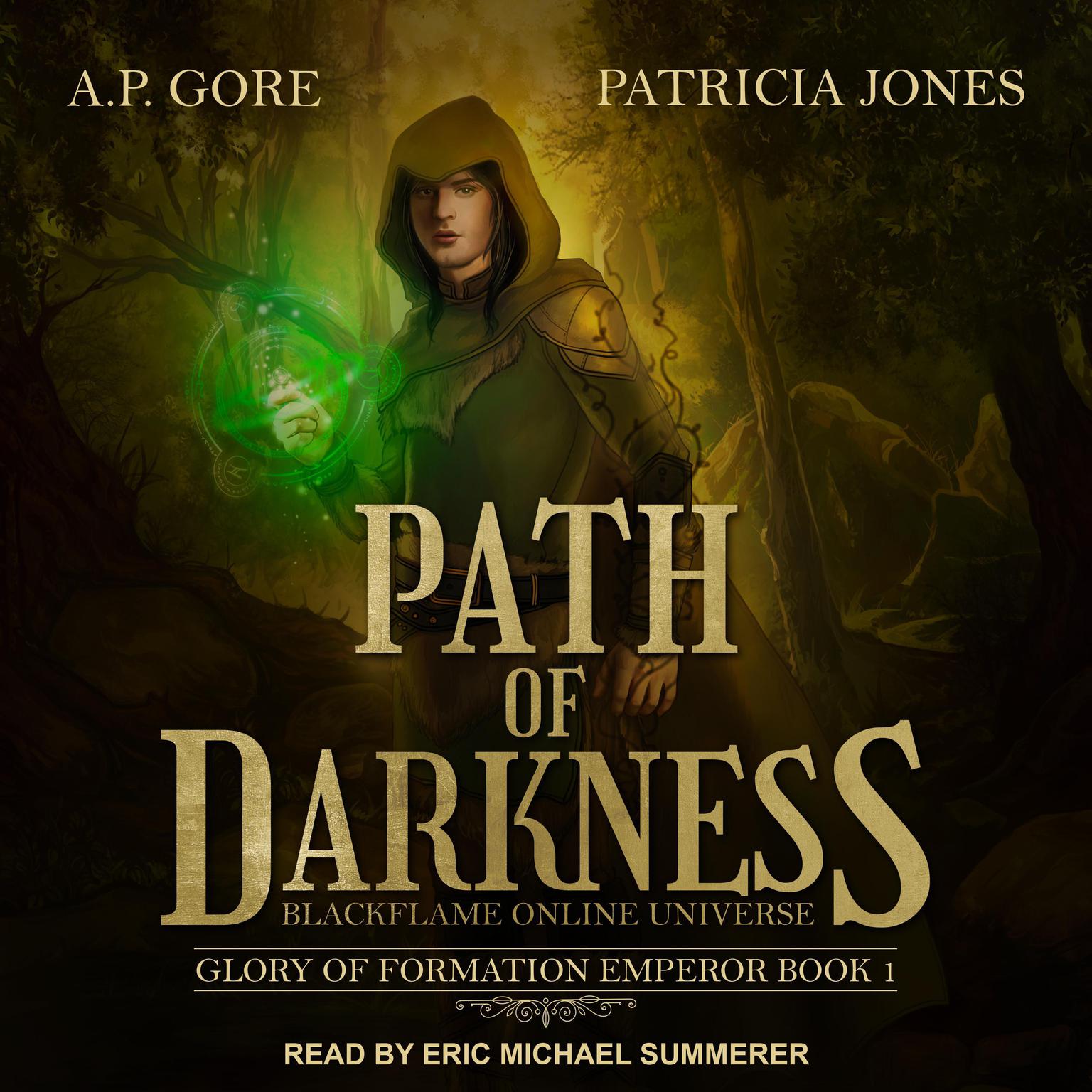 Path of Darkness: BlackFlame Online Universe Audiobook, by A.P. Gore