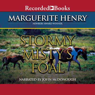 Stormy, Mistys Foal Audiobook, by Marguerite Henry