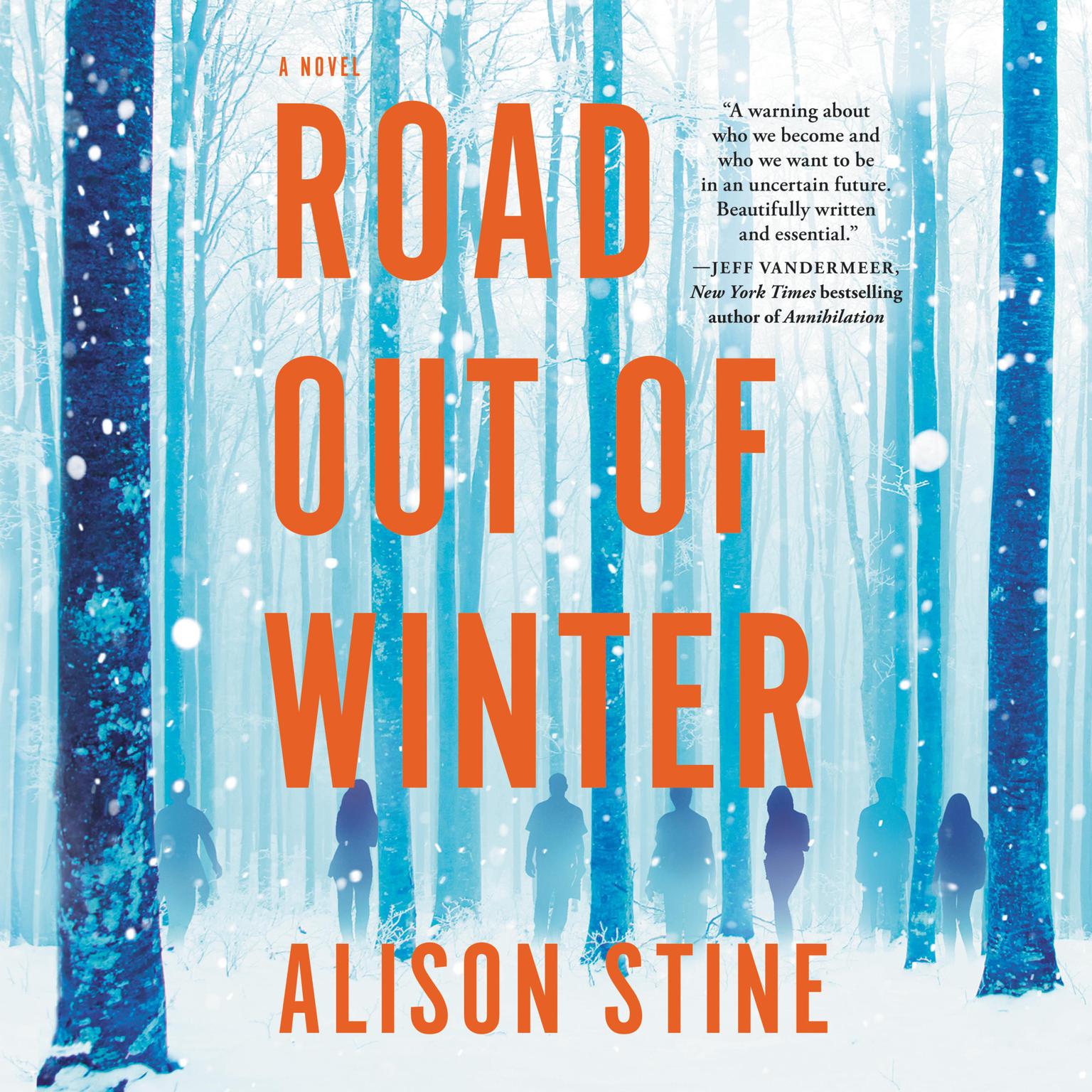 Road Out of Winter Audiobook, by Alison Stine