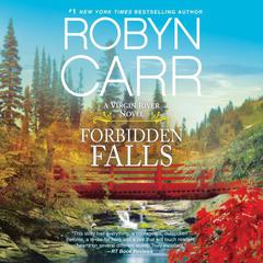 Forbidden Falls Audiobook, by 