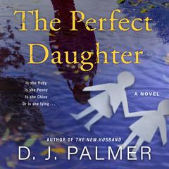 The Perfect Daughter: A Novel Audiobook, by D. J. Palmer