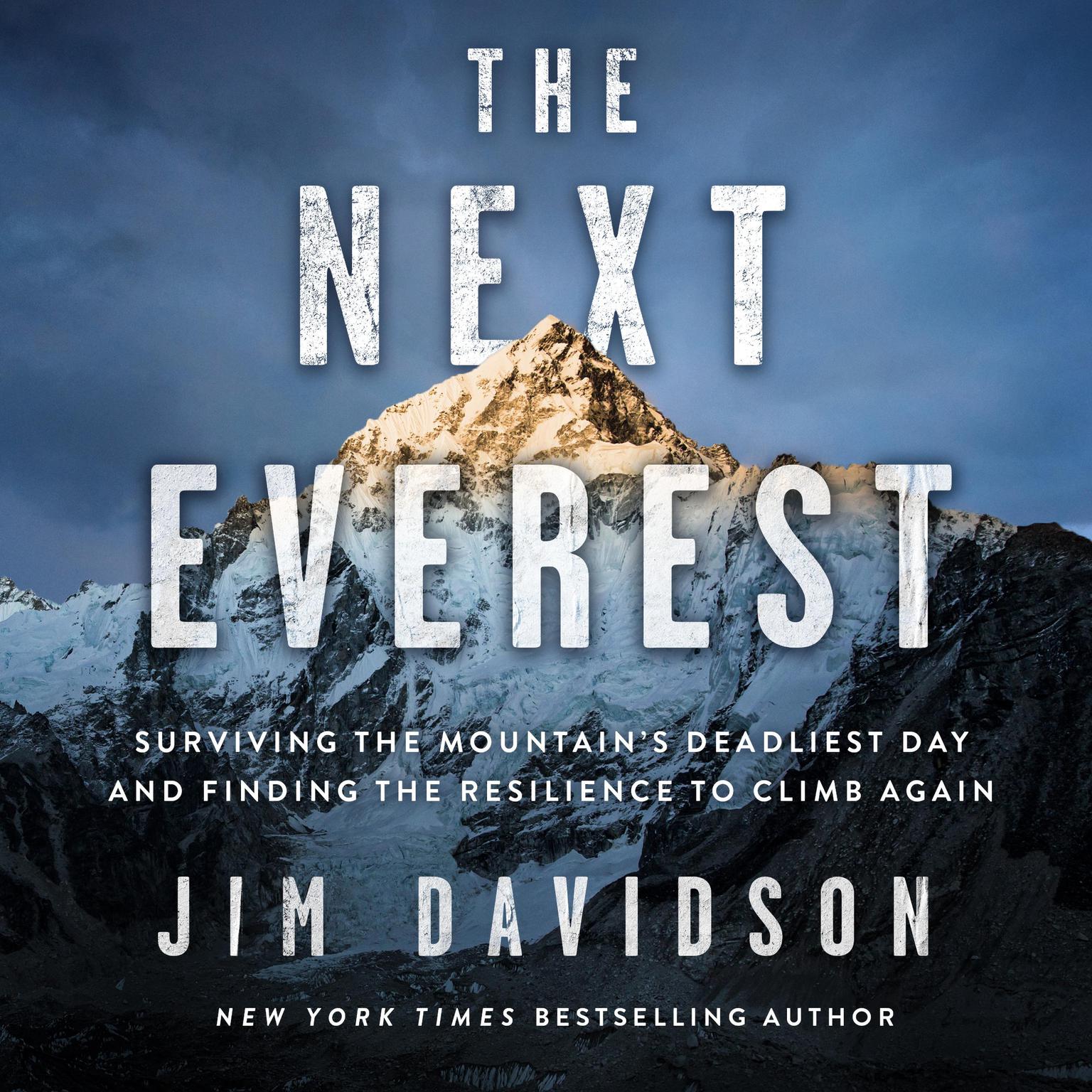 The Next Everest: Surviving the Mountains Deadliest Day and Finding the Resilience to Climb Again Audiobook, by Jim Davidson