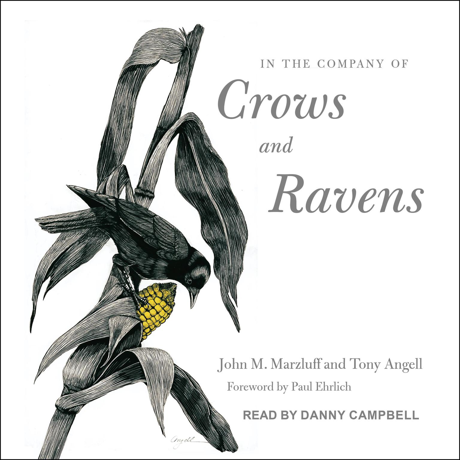 In the Company of Crows and Ravens Audiobook, by Tony Angell