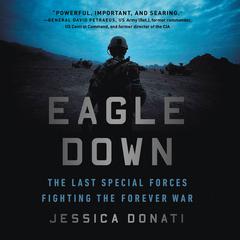 Eagle Down: The Last Special Forces Fighting the Forever War Audiobook, by 