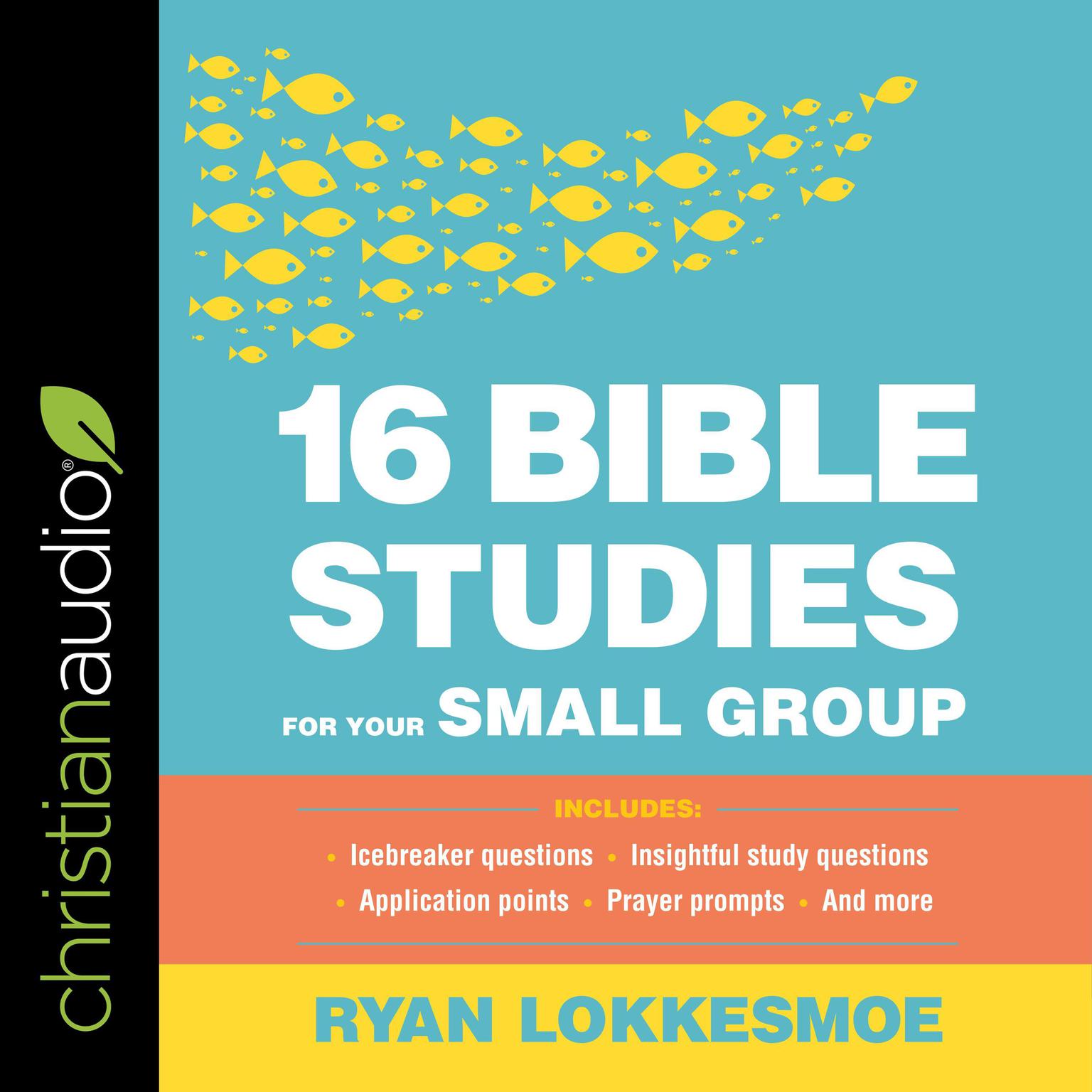 16 Bible Studies for Your Small Group Audiobook, by Ryan Lokkesmoe