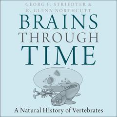 Brains Through Time: A Natural History of Vertebrates Audiobook, by Georg Striedter