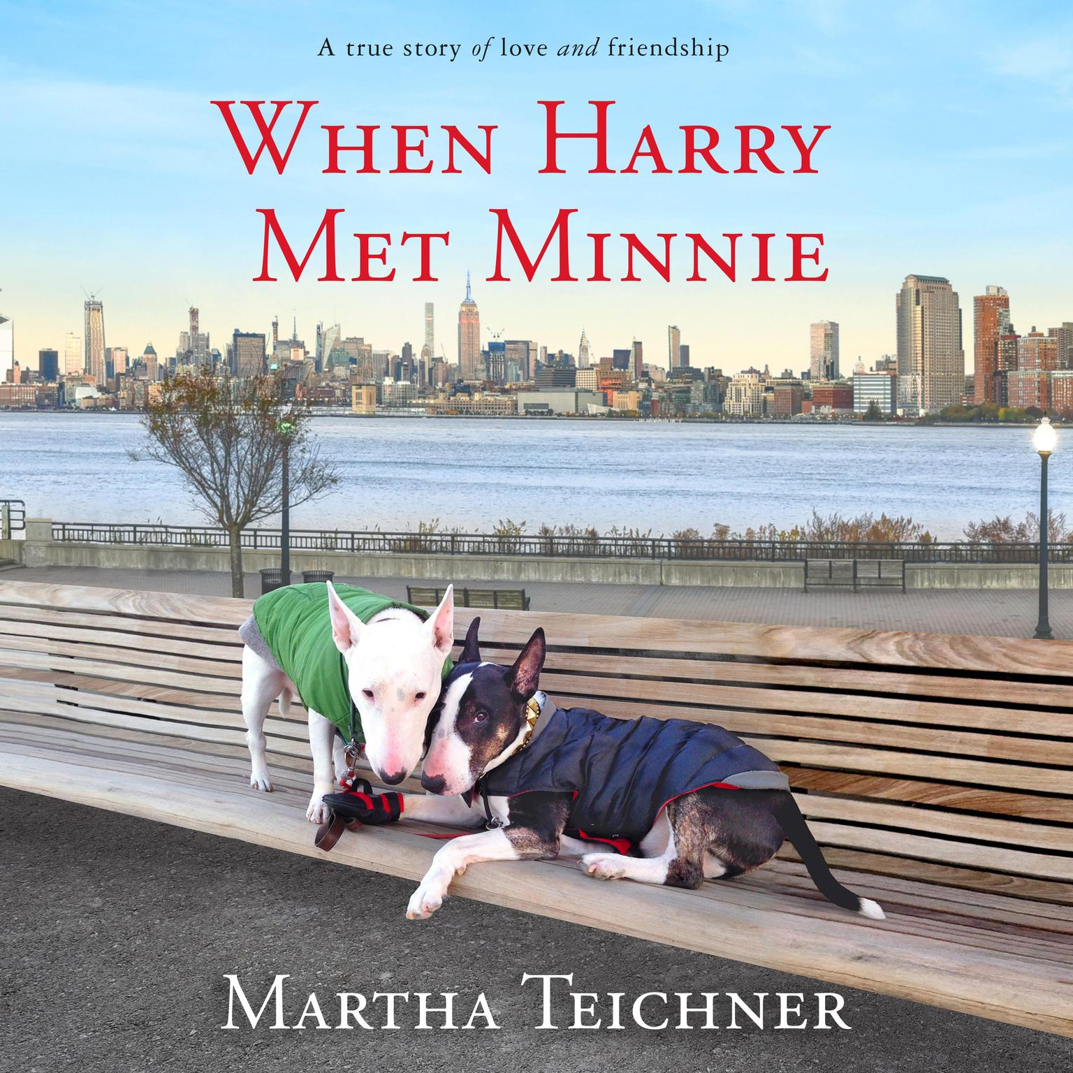 When Harry Met Minnie: A True Story of Love and Friendship Audiobook, by Martha Teichner